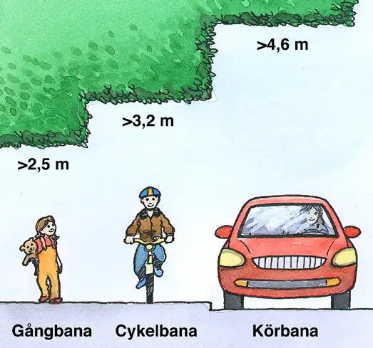 Illustration över hur hög höjd vegetation får ha över gångbana, cykelbana och körbana.