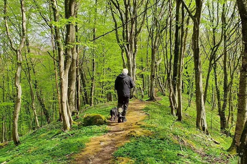 Man går med svart hund längs en skogsbeklädd åsrygg